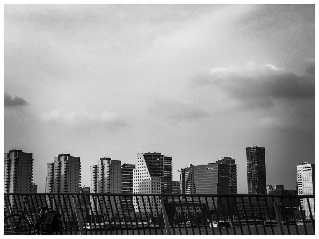 Rotterdam from Erasmusbridge