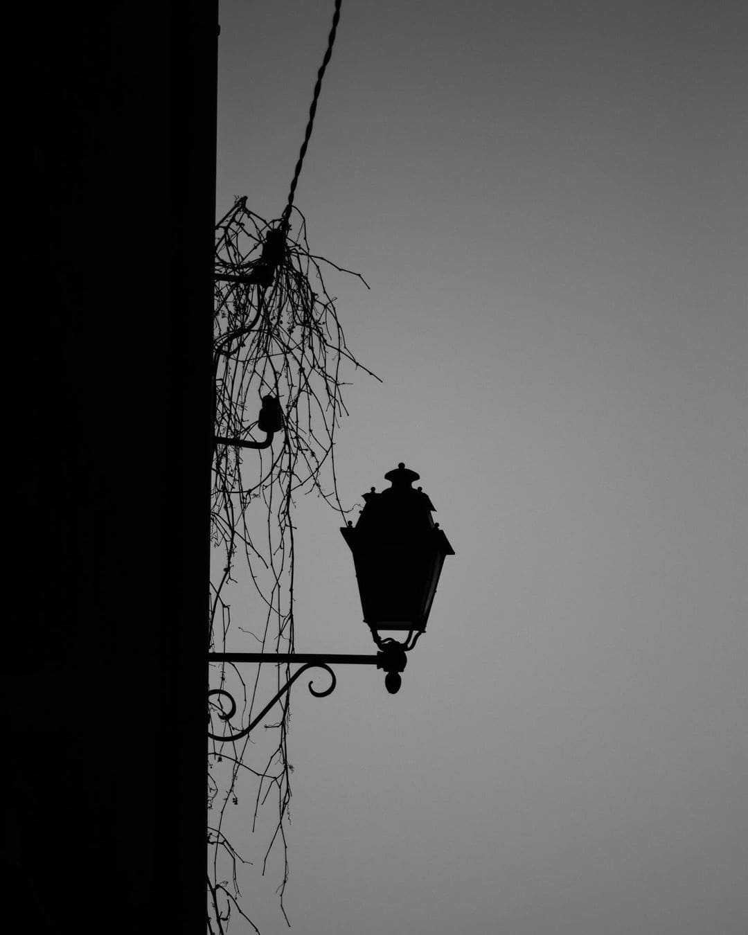 Darkness in the streets of Lorgues