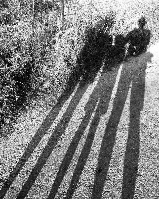 Three shadows