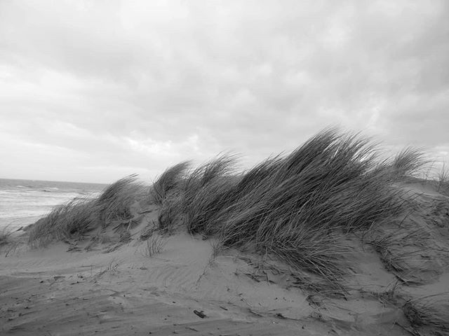 Wind blowing over dune