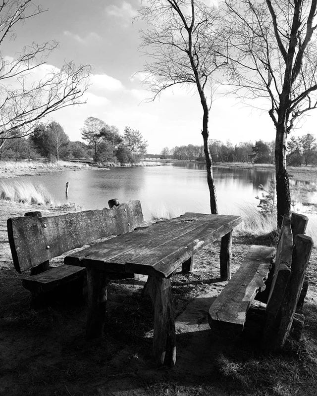 Empty bench at the lake