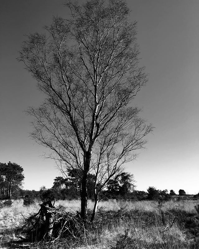 Strabrechtse heide