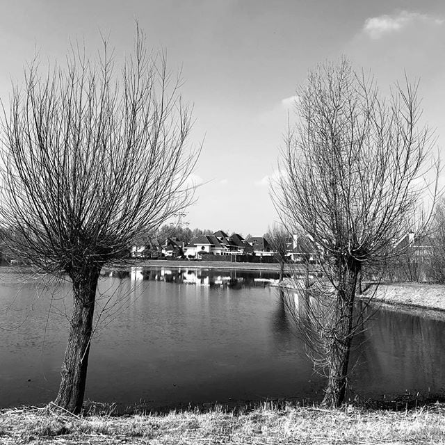 Dierdonk winter landscape