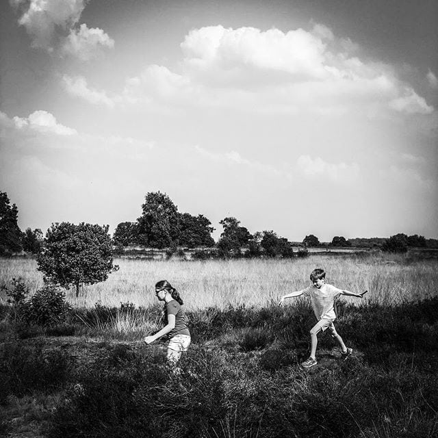 Chasing each other at grazing site