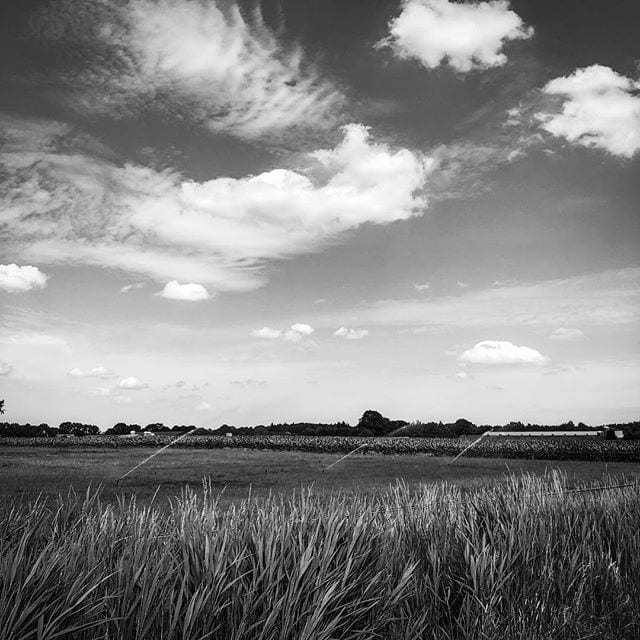 Dutch clouds