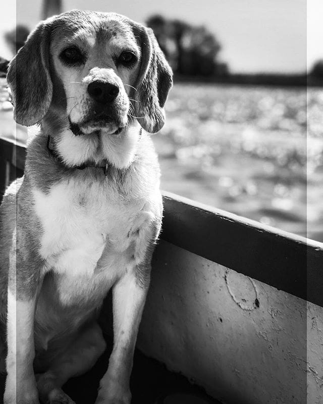 Lilly in a boat