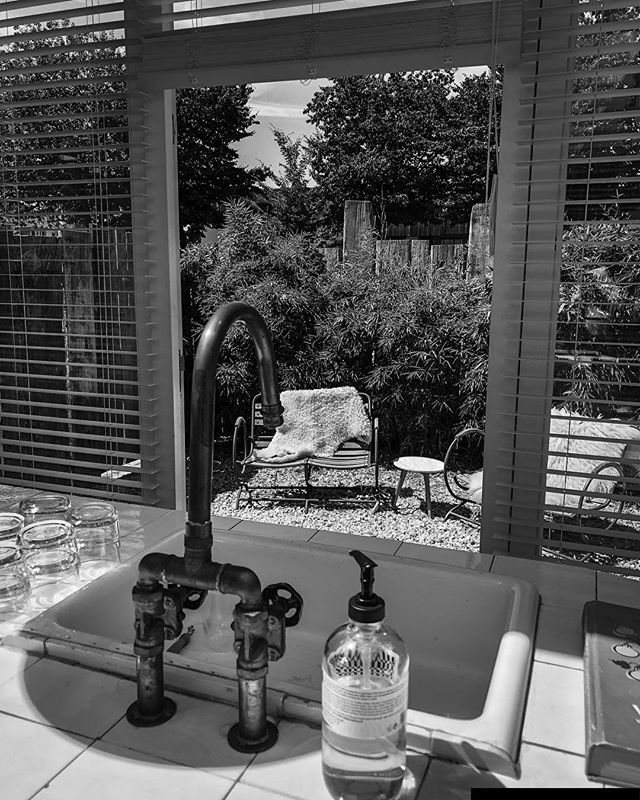 Looking from the kitchen into the garden