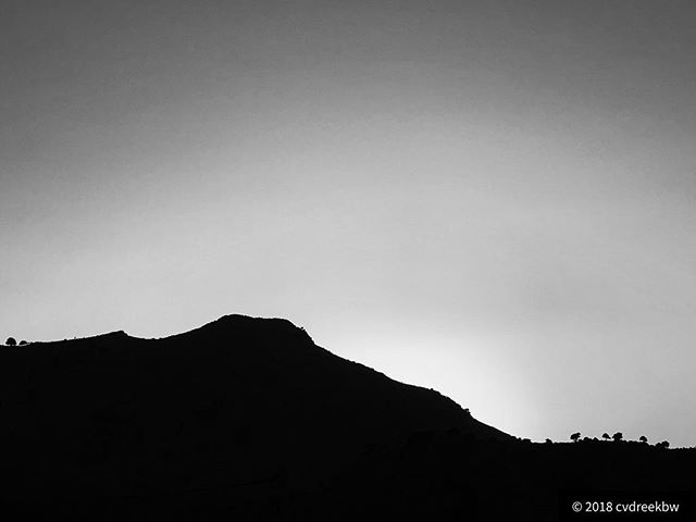 Mountain horizon trees