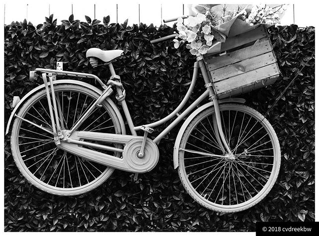 Bike on a wall