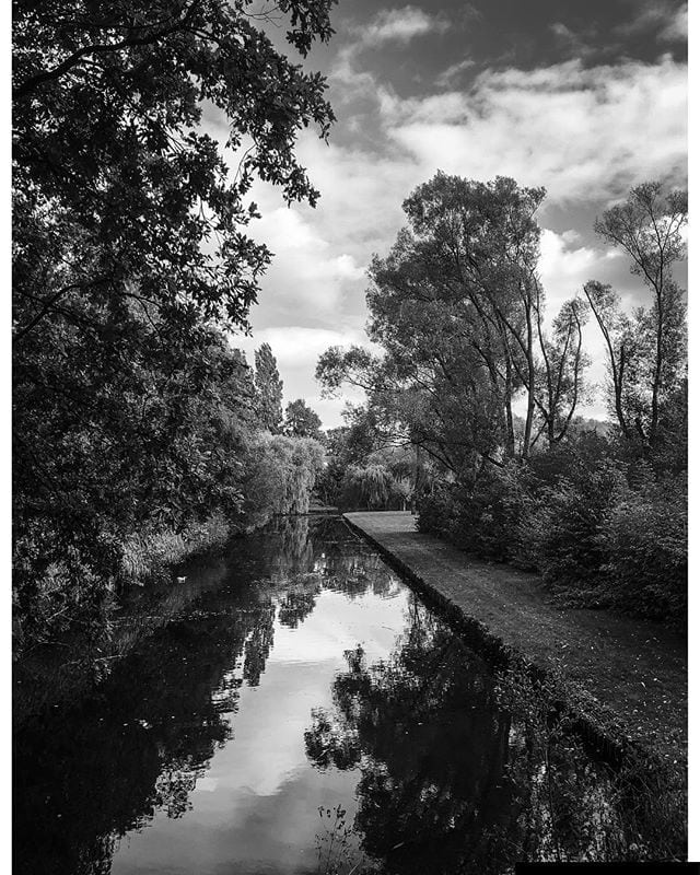 Trees reflecting in a canal