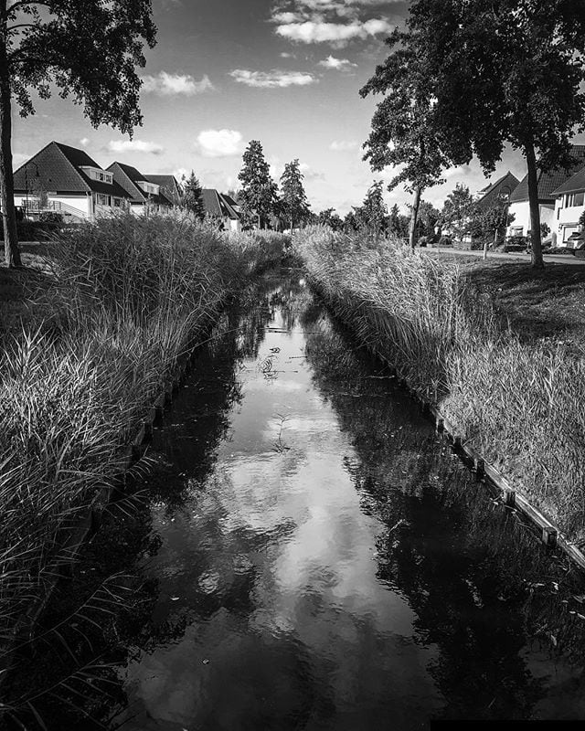 Water reflection