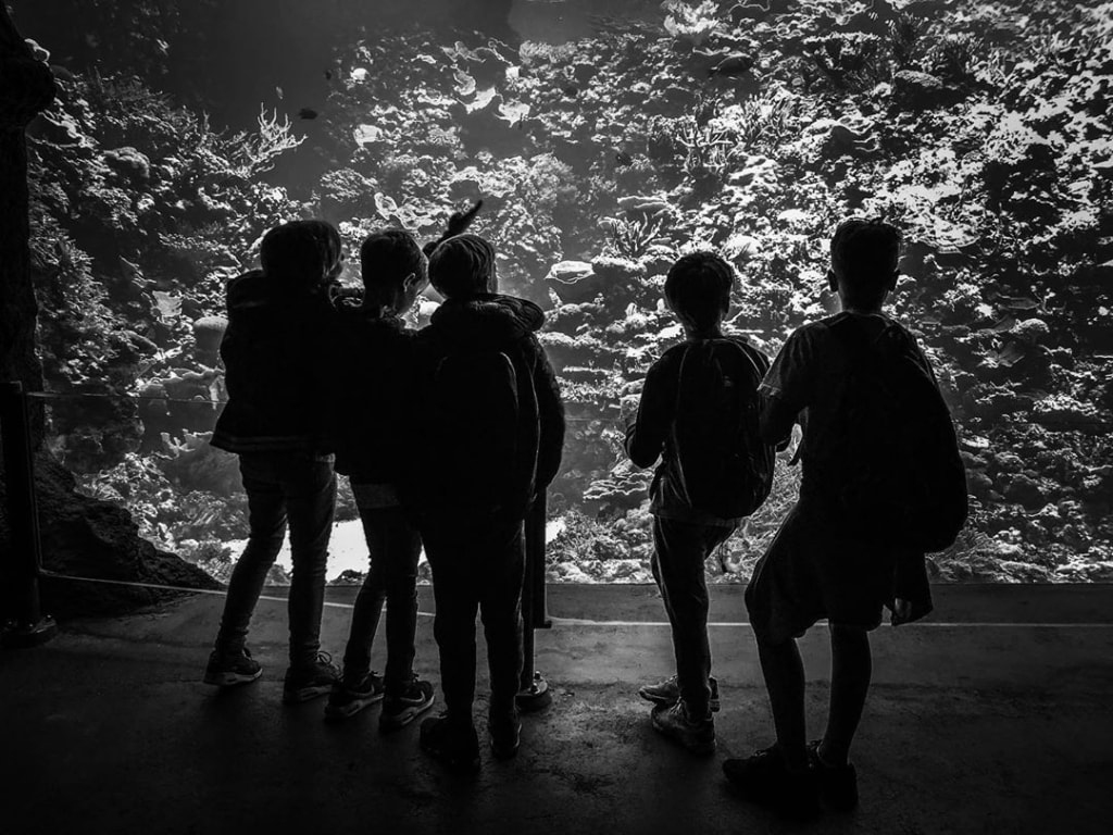 bnw bnw diamond monochrome blackandwhite blackandwhiteonly