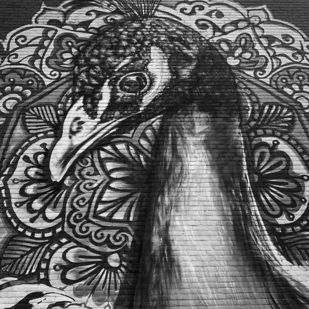 bnw bnw diamond monochrome blackandwhite blackandwhiteonly