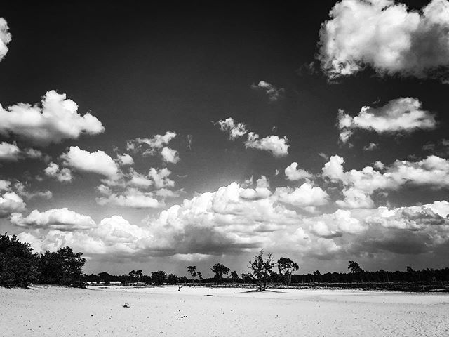 Cloudy sand dunes